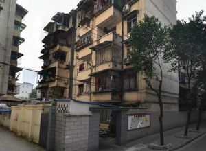灯笼街142号2室2厅东南