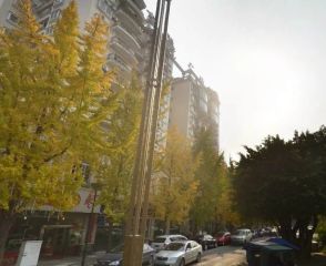 工行家属院 3室1厅 西南