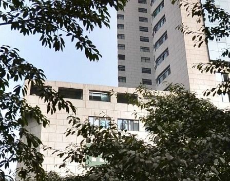  ���޶��� 