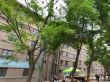华一校家属院实景图