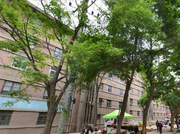 华一校家属院实景图