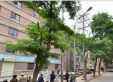 华一校家属院实景图