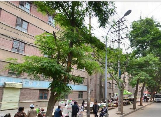华一校家属院实景图