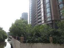 绿城玉兰公寓 采光充足 配套齐全 交通便利 方正户型