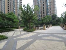 绿城玉兰公寓 2室1厅 南