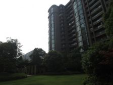 视野宽阔,楼层好,采光充足,精装修 诚心出售