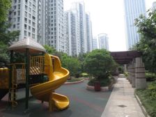 中南商圈的写字楼 位置好 视野开阔 适合居住和开公司