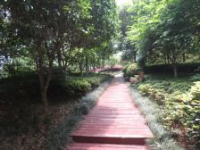 房子是繁华地段,装修很好 可以拎包入住