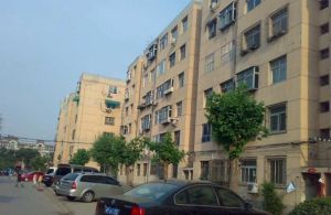 向阳花园A区 5室3厅 东南