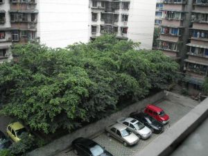 金城商住楼2室1厅南