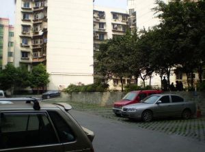 金城商住楼2室2厅南