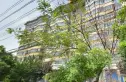 南河道2794号实景图
