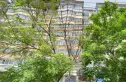 南河道2794号实景图
