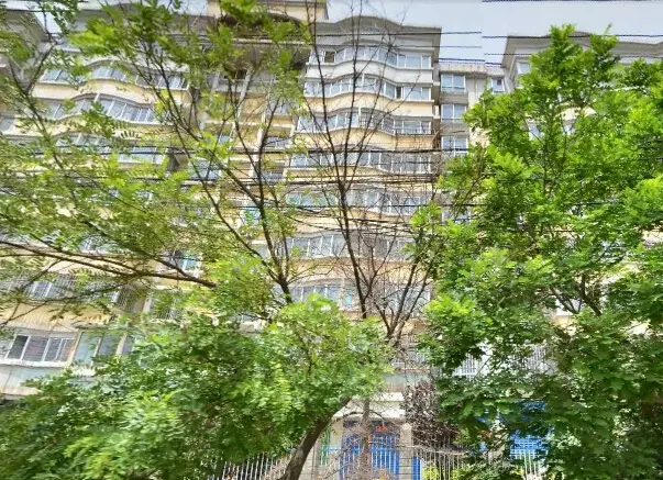 南河道2794号实景图