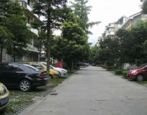 梧桐花园3室1厅西南南