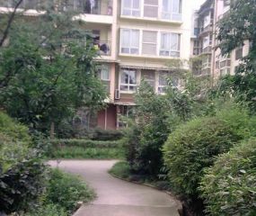 锦绣阳光(锦江)3室1厅南