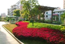 当代华府3室2厅南北