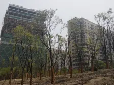 中鹰黑森林 2室2厅 南