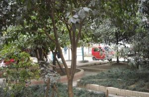 合江苑 2室2厅 东南