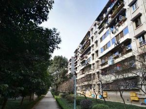 陵川社区3室2厅东南