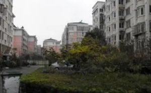 万顺小区 4室1厅 南