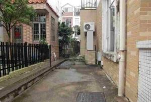 凤翔路别墅美图苑联排南向毛坯大花园