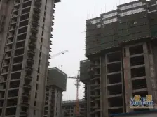 金汇广场两室两厅一卫一厨,采光无遮挡,朝南好房