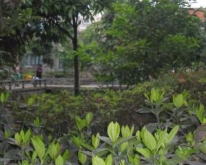 双兴名邸四季春天6室1厅东南