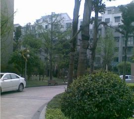 迎春佳苑 3室1厅 东