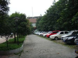 四川省农科院宿舍(静居寺路) 3室2厅 东 东南