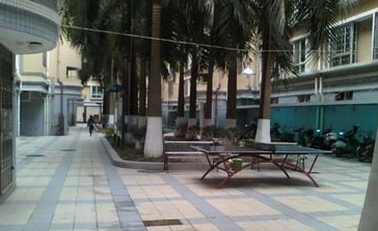 陈村旧圩实景图