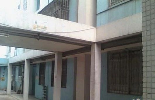 陈村旧圩实景图