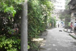 清溪南街20号2室1厅南