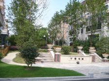 满五唯一,楼层好,视野宽阔,采光好,毛坯房随意装修