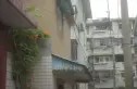 安乐街坊实景图