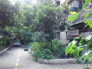 成科路2号3室1厅东西