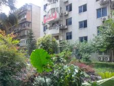 棕北公寓 4室2厅 东 西