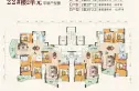 春江花月户型图