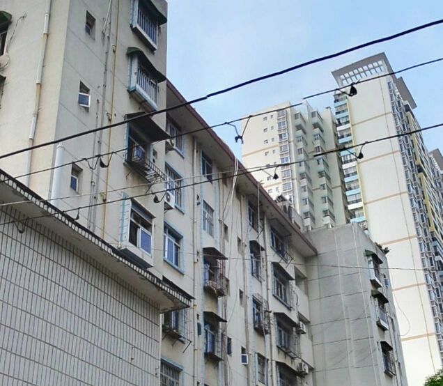 实景图