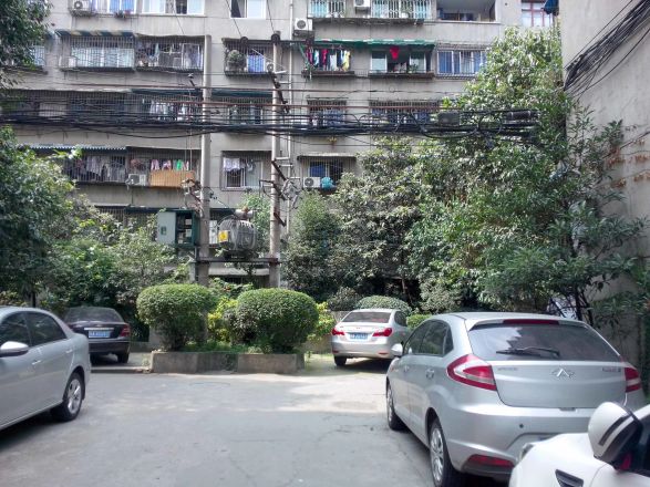 青春岛社区实景图