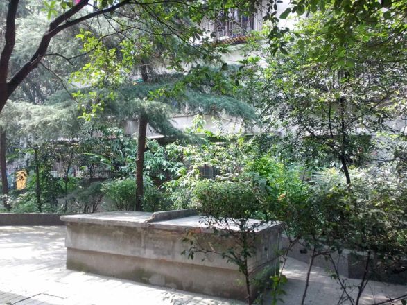 青春岛社区实景图