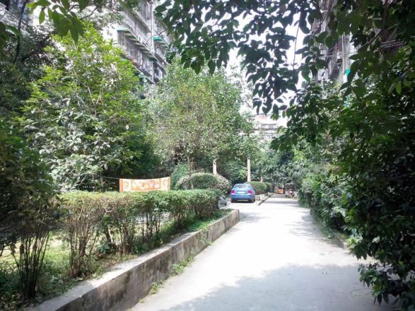 青春岛社区实景图