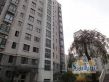 螃蟹巷实景图