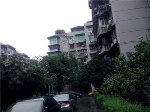 蓝天路3号3室1厅南