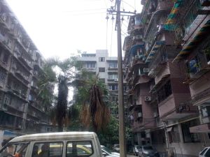 玉虹巷2号 2室1厅 东 东南