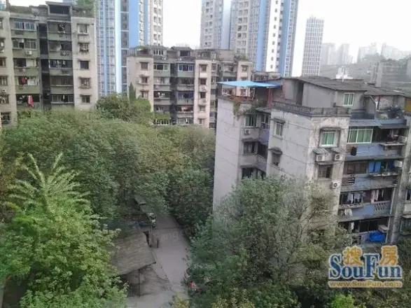 桥鸿一村实景图