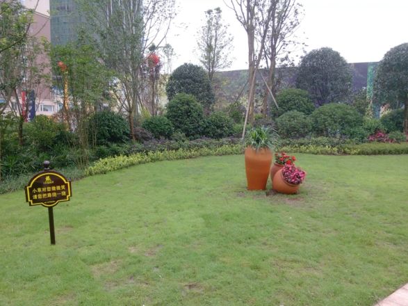 锦绣·幸福海岸实景图