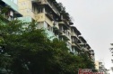 双楠乐苑实景图