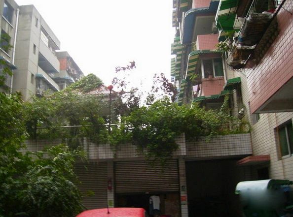 小区相关图