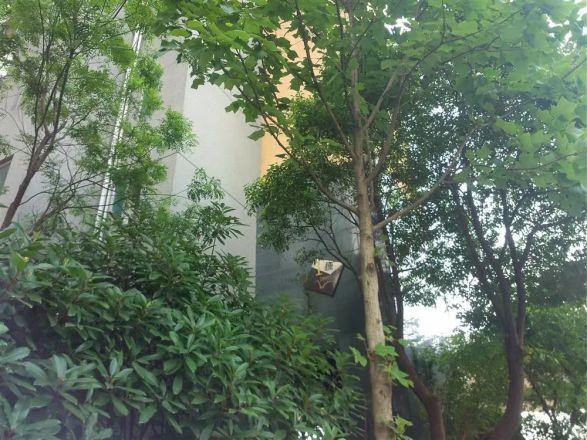 世茂锦绣长江天胤Ⅱ实景图